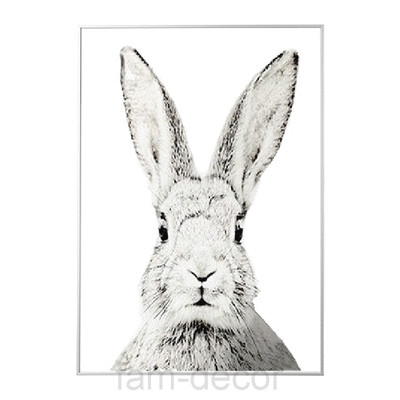 Постер-Animal ( ФА-000103)